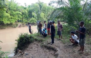 Siswi SD Diterkam Buaya Saat Mandi di Sungai Batang Masang