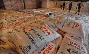 Penyalahgunaan Pupuk Bersubsidi Rugikan Negara Rp30 Miliar Terungkap