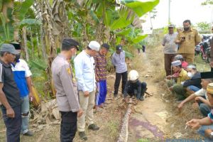 Nenek 90 Tahun Tewas Dililit Ular Piton