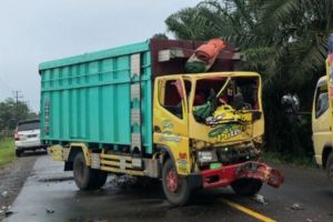 Dua Truk Beradu Kambing di Pemayung
