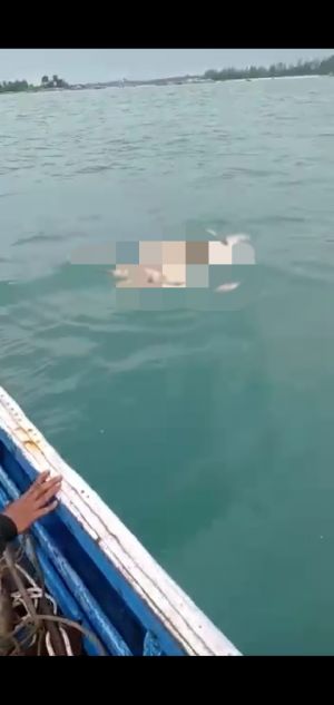 Dua Jasad Ditemukan Tidak Utuh Diduga Korban Kecelakaan Kapal