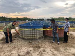 Kepala Cabang PT DHD Jadi Tersangka, Investasi Bodong Budidaya Ikan Lele