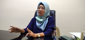 Ekosistem Gambut yang Rusak Akan Dipulihkan Dalam Tiga Tahap Identifikasi 