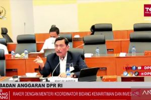 Menko Luhut: Harga Tiket Masuk Borobudur Didasarkan Studi Mendalam
