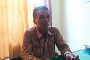 Enam Ekor Sapi di Nyatakan Sembuh Dari PMK