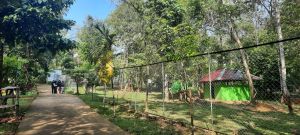 Wisata Alam Murah di Tengah Kota Jambi