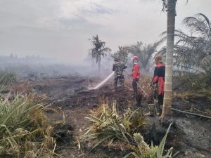 Ratusan Hektare Lahan di Jambi Terbakar, Ulah Tangan Manusia dan Monopoli Air