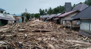 Kemenhut Bentuk Tim Investigasi Pembalakan Liar di Sumut, Sumbar dan Aceh